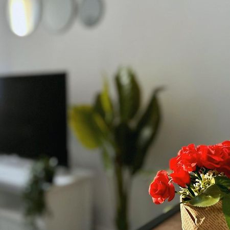 Cosy Palm Beach, Studio Pres De La Mer Et De La Croisette คานส์ ภายนอก รูปภาพ